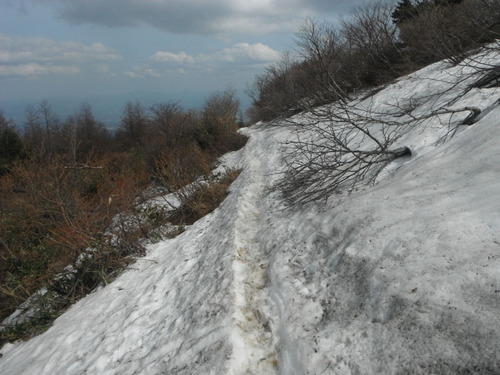 DSCF0661