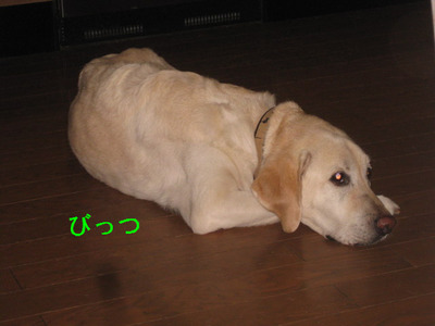 009.JPG