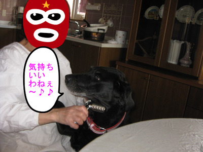 003.JPG