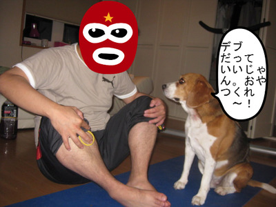 031.JPG