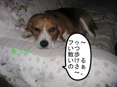 001.JPG