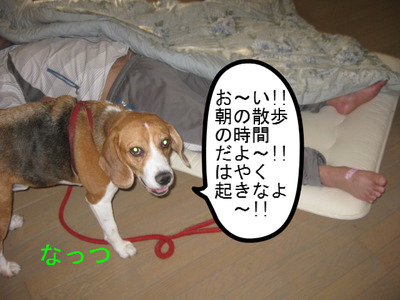 115.JPG