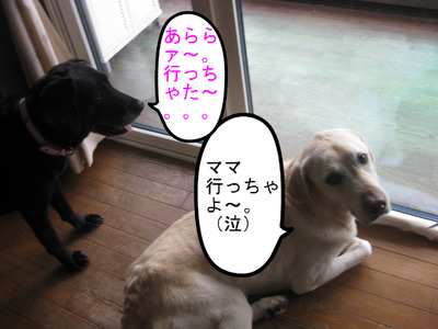 009.JPG