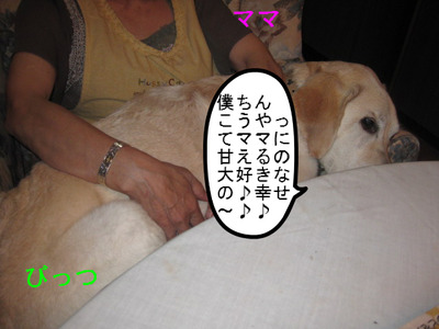 011.JPG