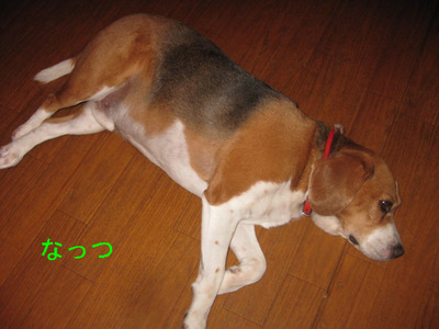 008.JPG