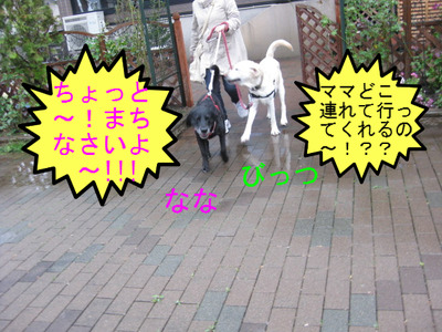 041.JPG