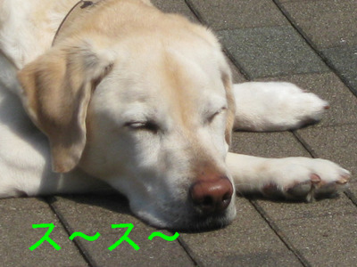 062.JPG