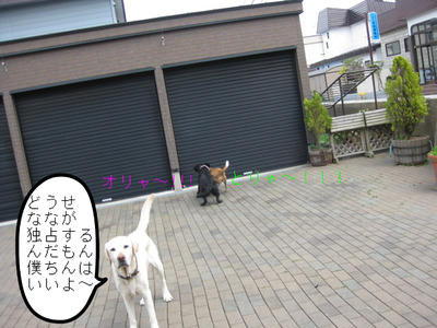 030.JPG