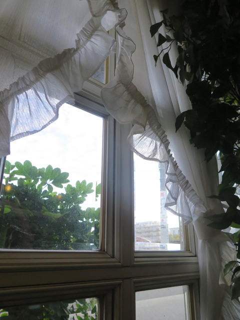 20160930080736_IMG_4584