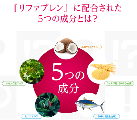 リファブレン1
