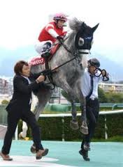 images (11)