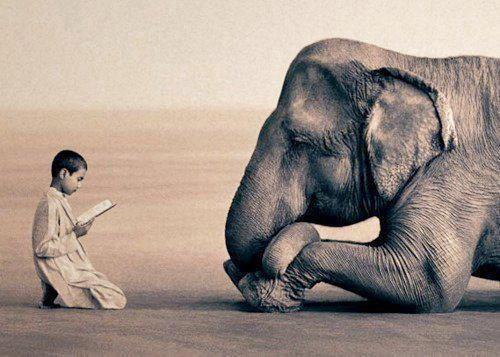 obedient_child_of_the_afghan_muslim_boy_by_saadalqarned59iuis.jpg