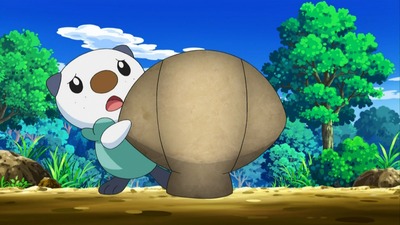 zoo1303380607156