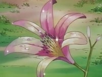 000237