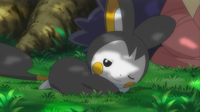zoo1301566557517