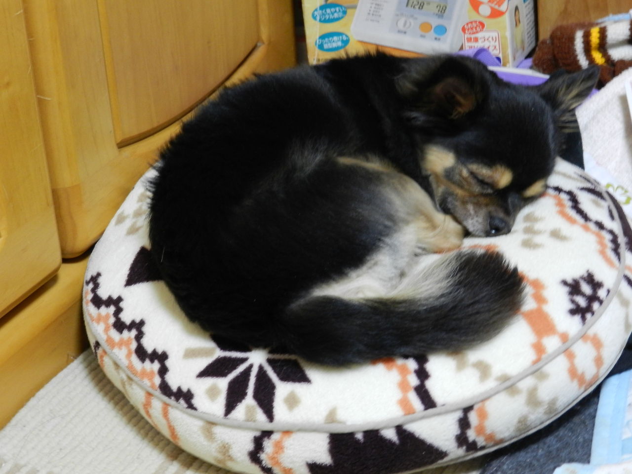 DSCN1329