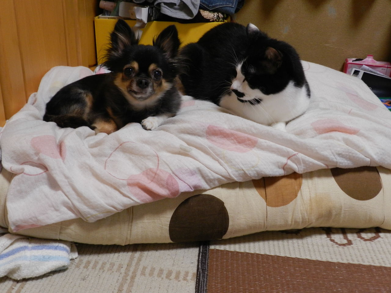 DSCN3177