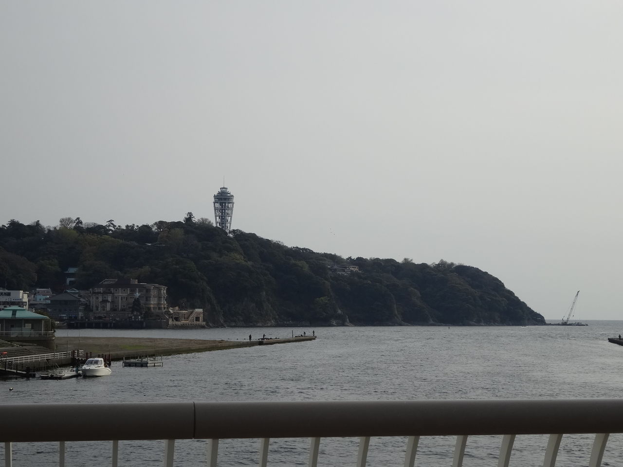 DSC00113