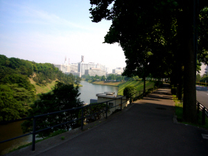 08bdd6a7.jpg