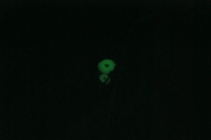 5b932a03.jpg