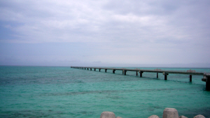 881d1e74.jpg