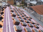 DSCF6187