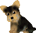 ���ߥ���