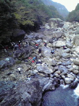 d9a07887.jpg