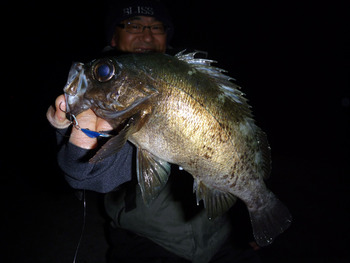一発目27cm