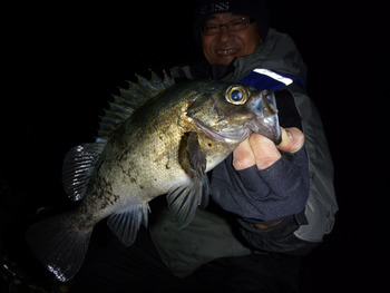 28.8cm♪