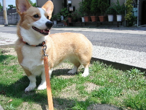 20060531