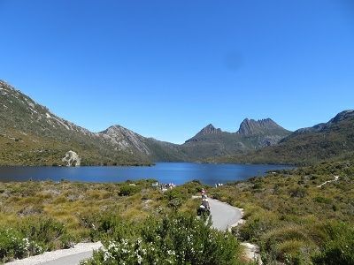 IMG_8874