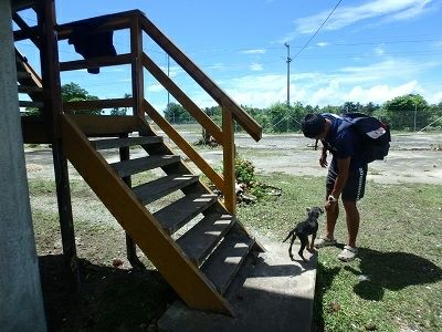 P1225798