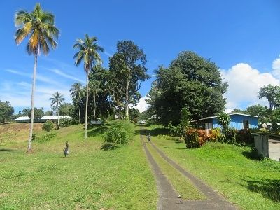 IMG_1175