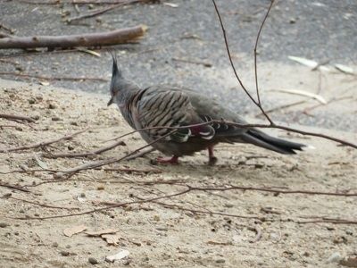 IMG_9361