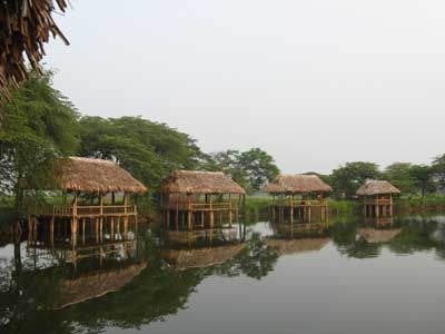 IMG_2152