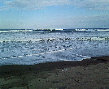 NEC_0633.JPG