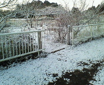 NEC_0629.JPG