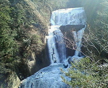 NEC_0655.JPG