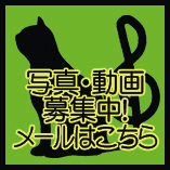 neko2