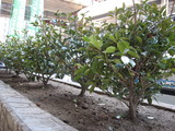 5a628b63.JPG
