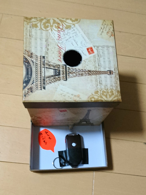 イルミ完成