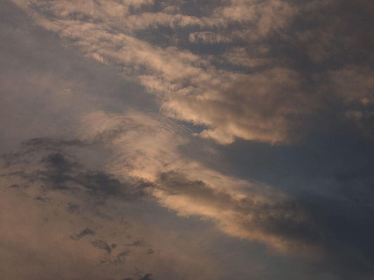 今日の夕方その2