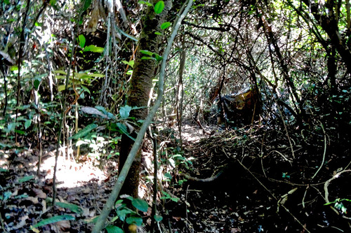 13DSC00461 ルーンシンハイド2の隠れ小屋