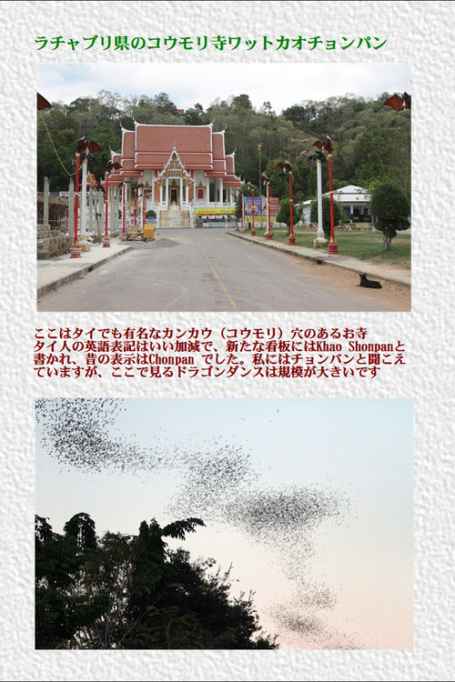 9ラチャブリ県のコウモリ寺ワットカオチョンパン