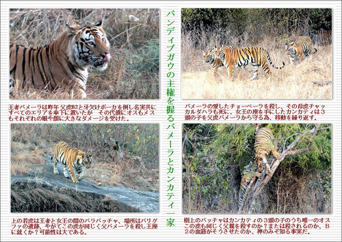バンディブのバメーラとカンカティ一家