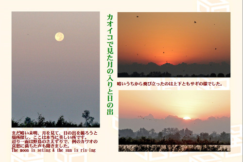 12カオイコの月と太陽