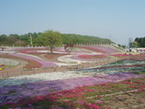 P4300098