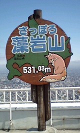 20805080.jpg