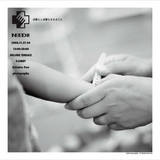 0812_sedei_1